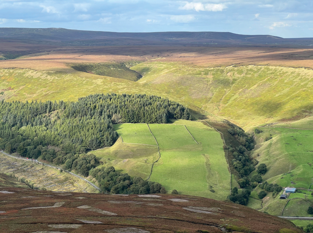 Oyster Clough and its cabin above Snake Woodland from Seal Edge