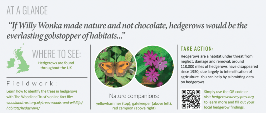 hedgerow