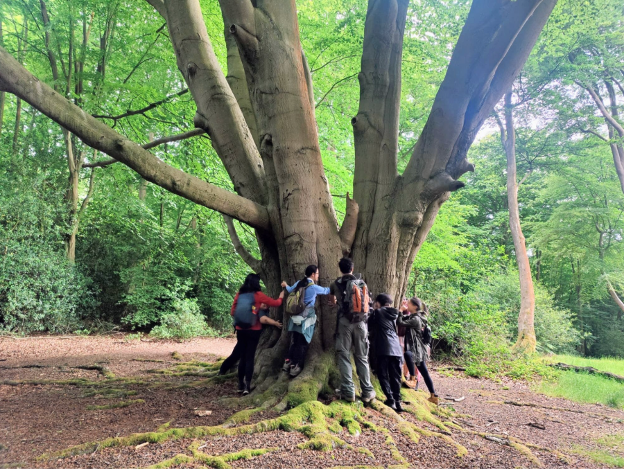 ESEA Outdoors at a conservation workshop organised by Epping Forest Heirtage Trust. Credit: Clare Lee