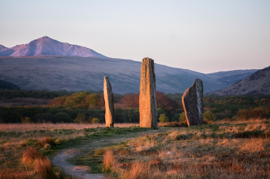 Credit: Mark David Williams / Shutterstock