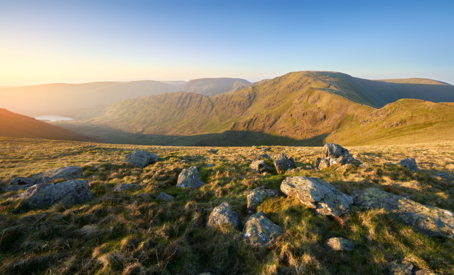 redit: Duncan Andison / Shutterstock