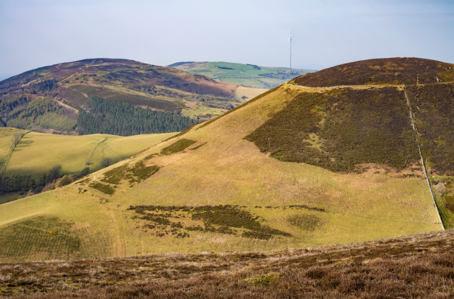 strolls through history - Credit: Henry K C / Shutterstock