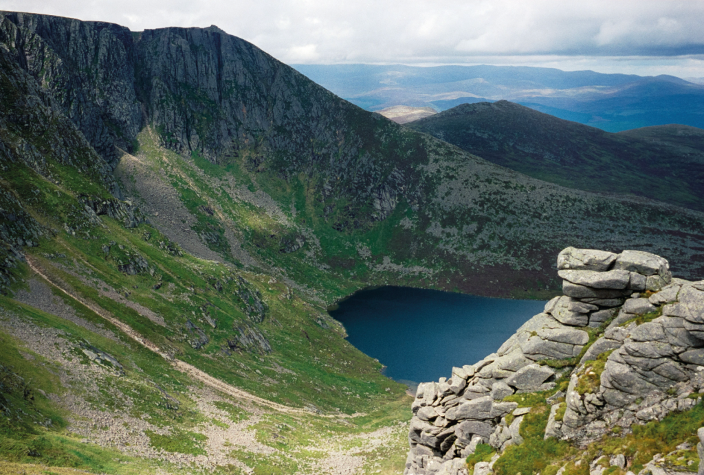1 Newly planted trees beside the River Muick