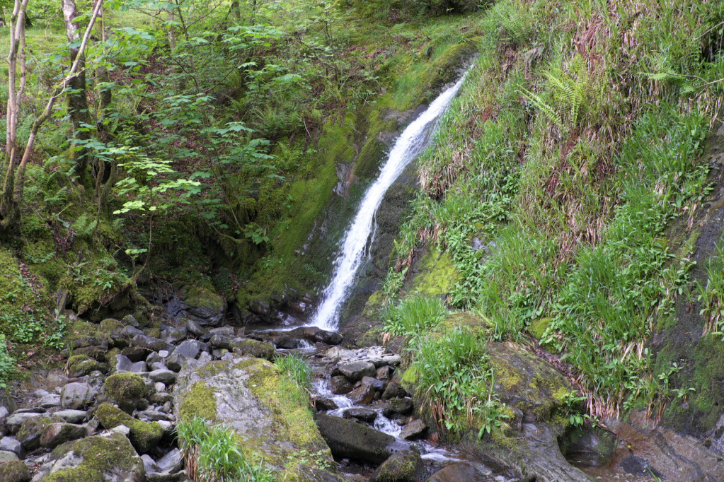 Holme Force_DSCF3412