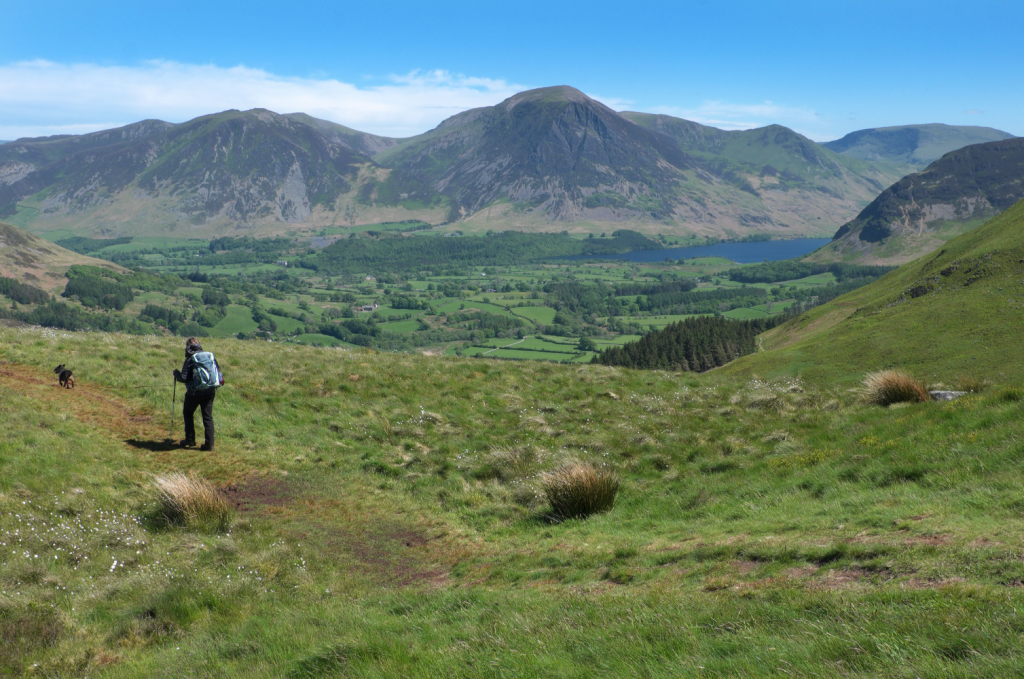 On Burnbank Fell_DSCF3512