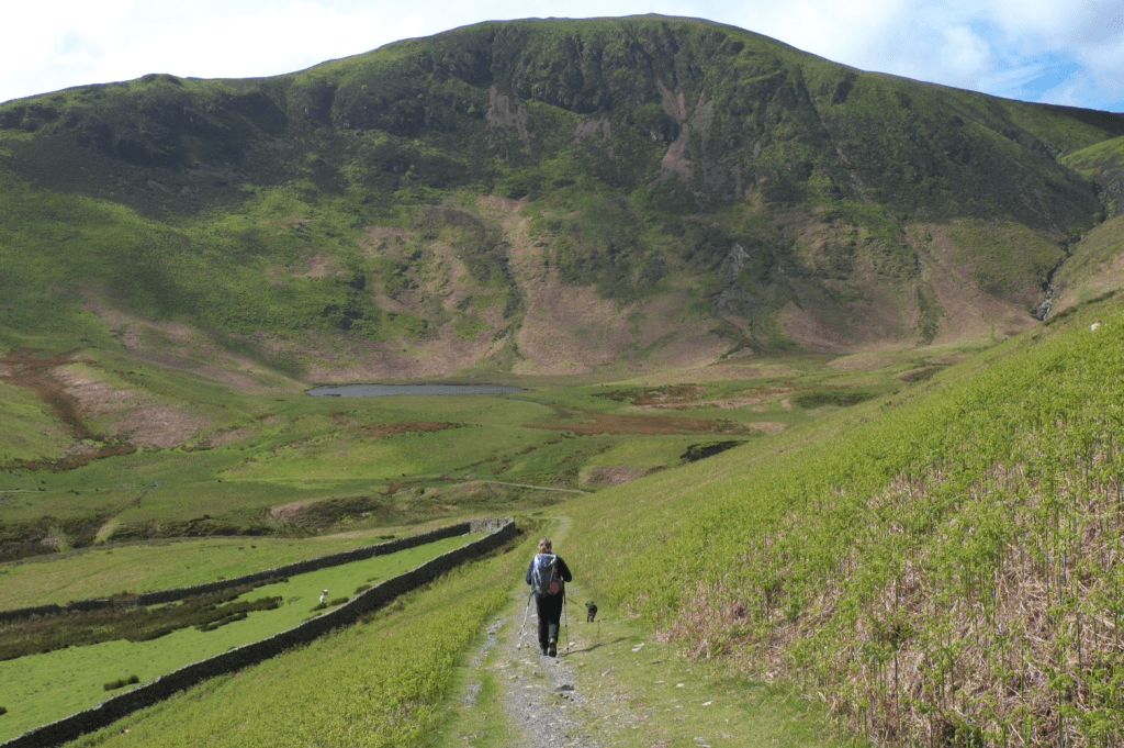 The path drops towards Highnook Beck (wp3)_DSCF3419