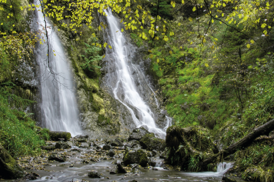 The Grey Mares Tail Coed Felin Blwm 02
