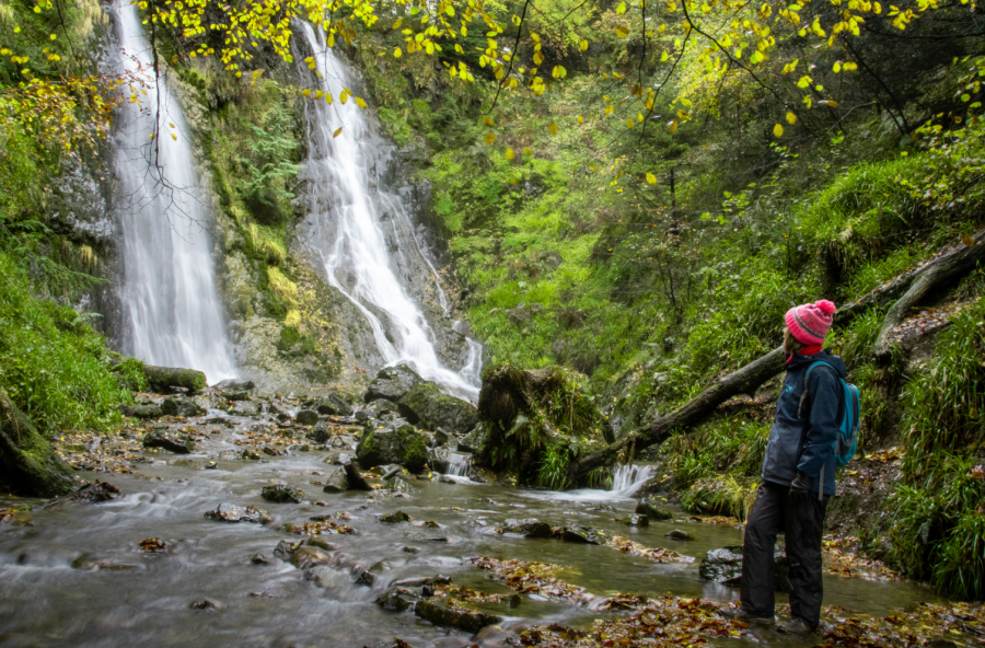 The Grey Mares Tail Coed Felin Blwm 01