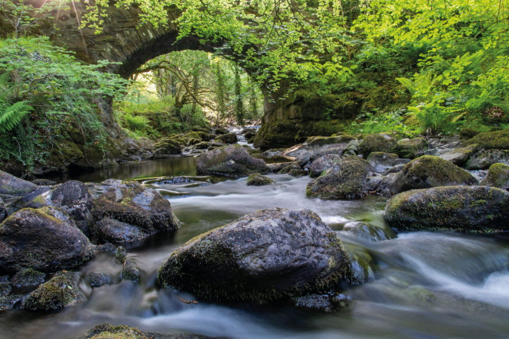 Pont Fadog Dyfrryn Ardudwy -02