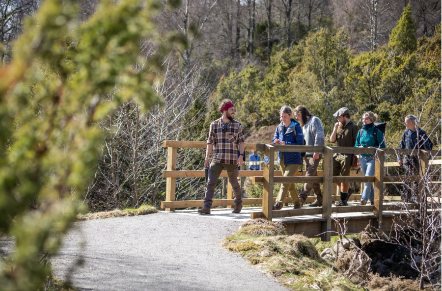 A guide leads visitors on a Trees for Life rewilding walk_Credit Trees for Life.jpg