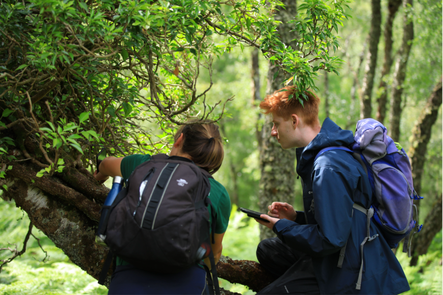 Trees for Life employees conduct a survey at Dundreggan rewilding estate_Credit_Sian_Addison (2)