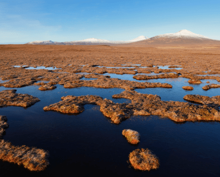 Forsinard Flow Dubh Lochans - Lorne Gill NatureScot