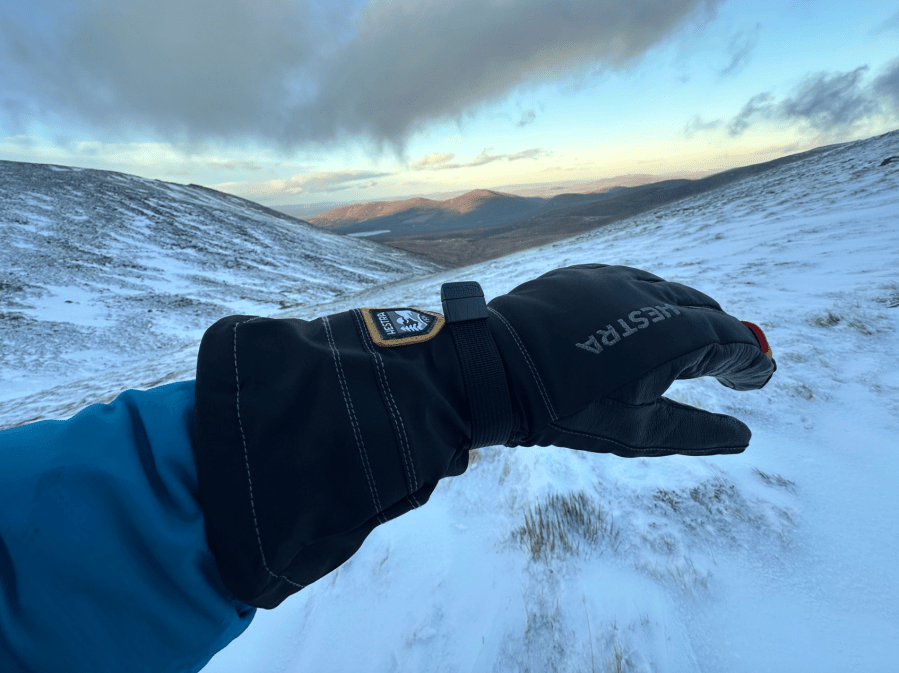 Hestra Army Blizzard gloves in the first winter snows