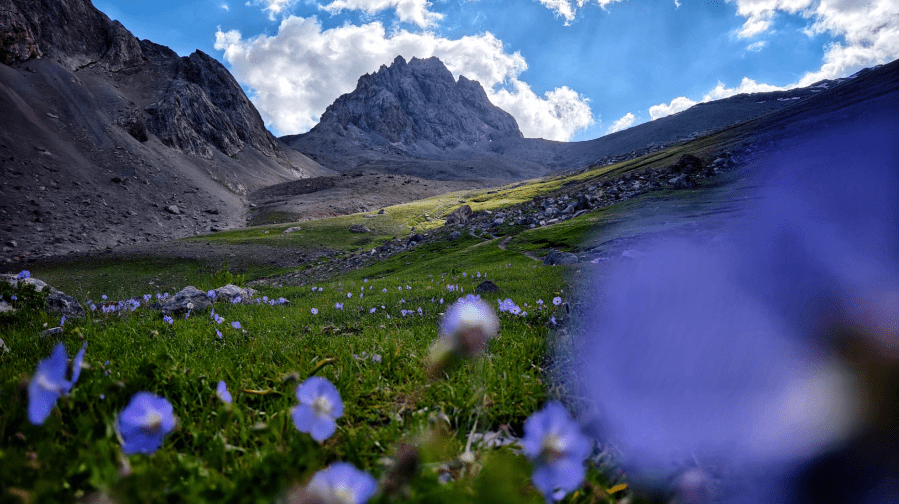 20.Flower decked alpine valleys and the trail ahead, what more could we ask for?