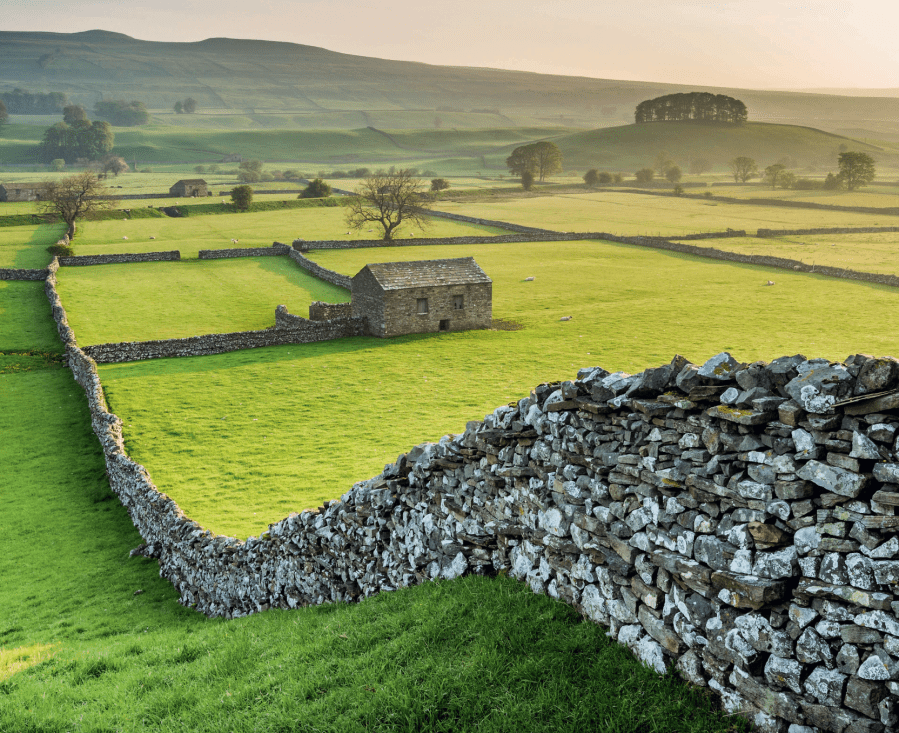 Sheep pastures and dry stone walls pattern the landscape of Wensleydale, Yorkshire Dales. Credit - Guy Edwards:naturepl.com