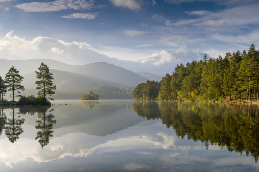 Loch an Eilein in the Cairngorms national park, framed by Caledonian forest. Credit - Scotland The Big Picture:naturepl.com.jpg
