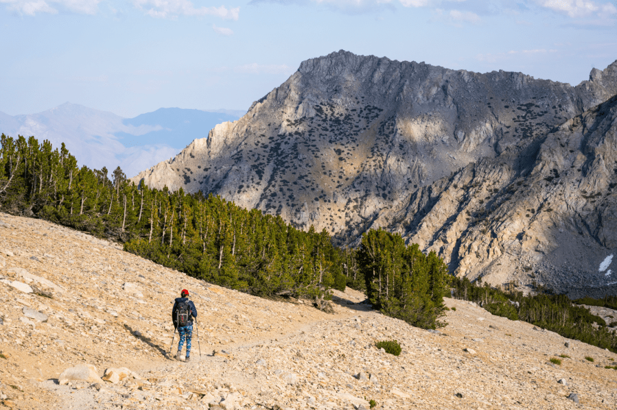 Returning to the treeline from Mount Gould
