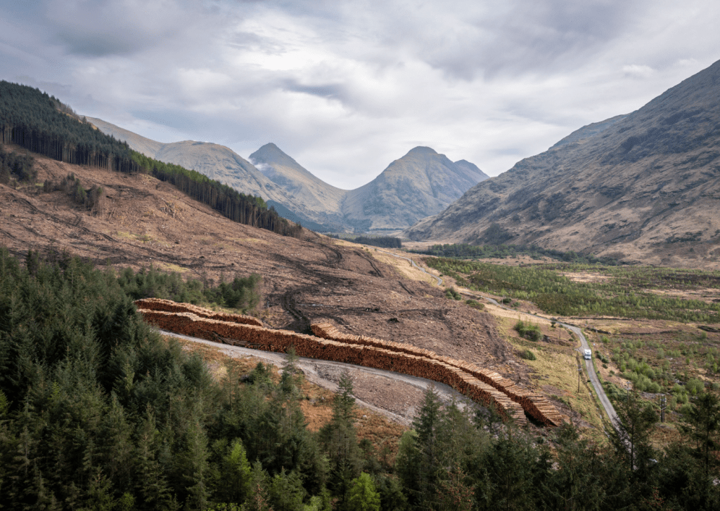 scotlands mountains - The aftermath of clear-felling exposes the scale of industrial forestry in Glen Etive. Vast tracts of plantation have been harvested, leaving behind a stark, scarred hillside and long stacks of timber. While run-of-river hydro schemes in this area have blended more discreetly into the land, tree felling leaves an unmistakable visual and ecological impact. Glen Etive is a designated National Scenic Area, yet economic land use and environmental values visibly collide. 