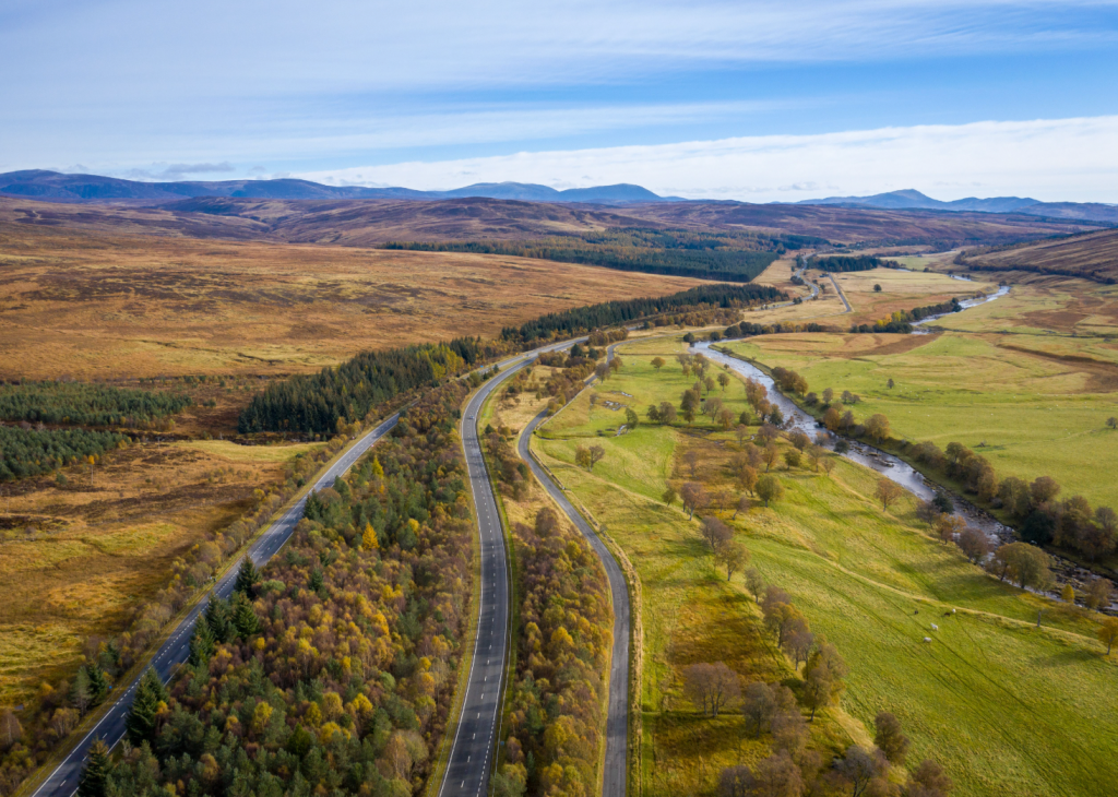The A9 cuts a line through the Highland landscape - a corridor of movement carved through moorland and pasture. On either side, grazed fields and open hills show the long reach of farming and the hand of estates managed for sport. But the narrow strip between the carriageways is protected from grazing, and over time trees have taken hold, revealing how quickly nature reasserts itself when grazing pressure is removed. 