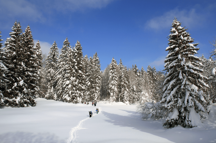 Landmarks are few and far between in Swiss Jura, making phone-free navigation a challenge