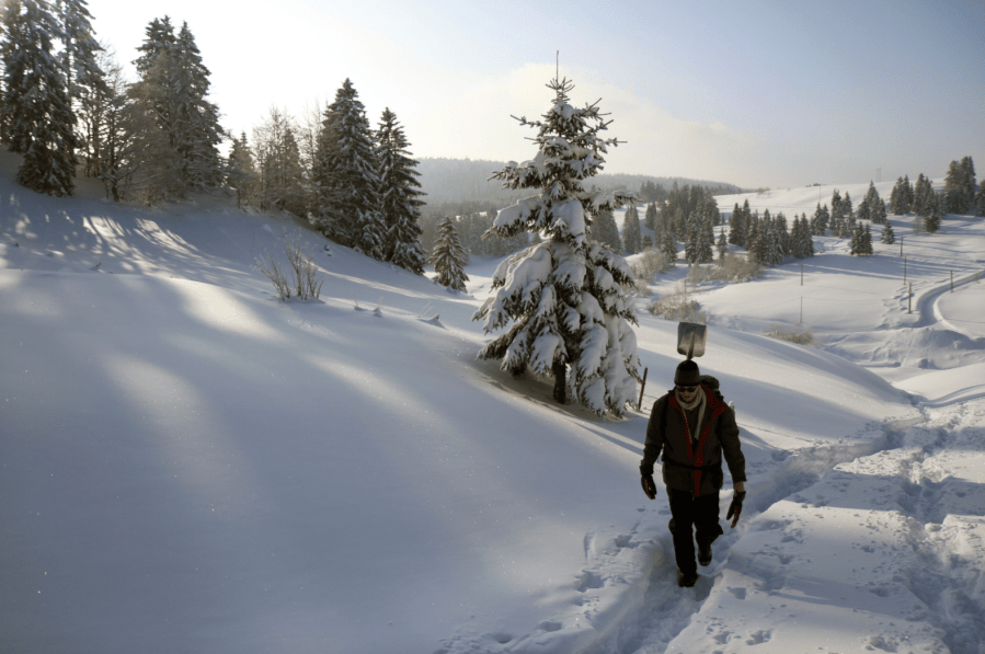 Walking through winter. Credit:
