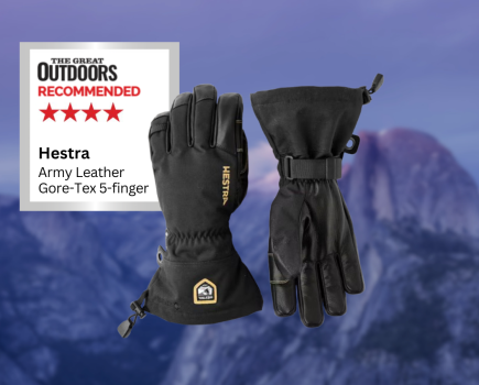 Hestra Army Leather Gore-Tex 5-finger gloves