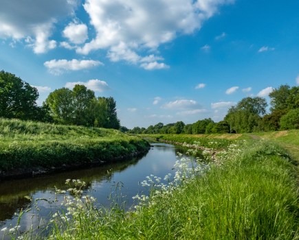 Summertime along the River Mersey near Chorlton Water Park, Manchester. Credit Toby Howard