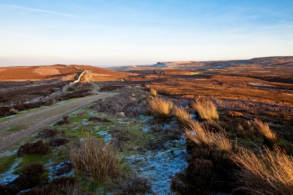 18 - Eller Beck Rigg at sunset - Scargill-0177