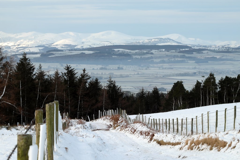 Looking back towards the Lakes as the track climbs early in the day. Credit: Vivienne Crow