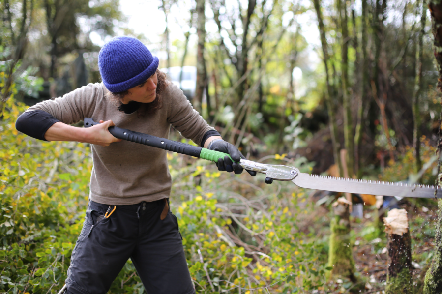 HarrietJenkins_CoppicingWeekend_GreenAspirations2