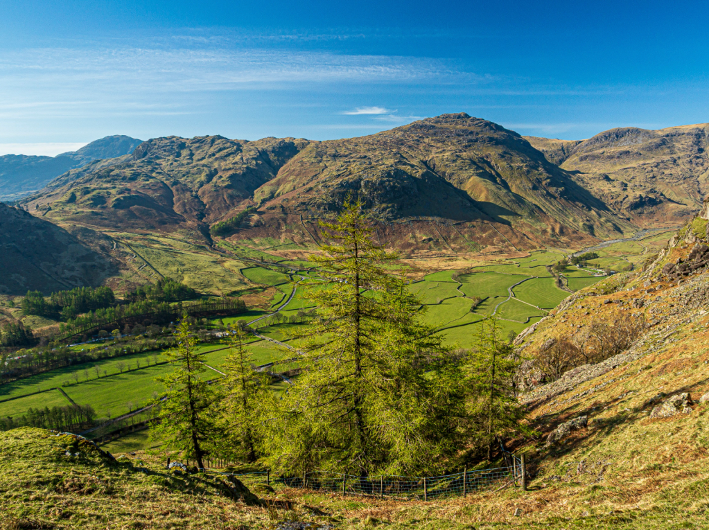 13 - Pike of Blisco from Raven Crag -  Landale-4081106