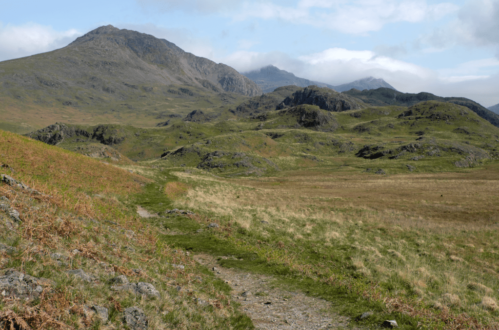 The path swings north along the edge of a boggy hollow between wp2and wp3. Credit: Vivienne Crow