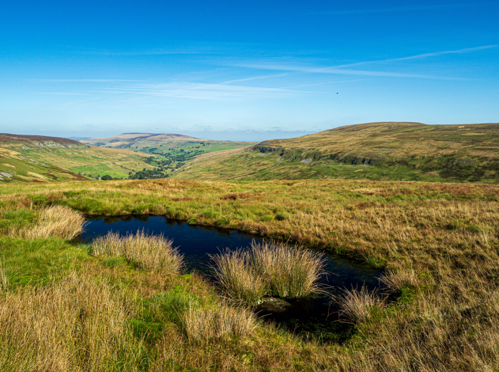 16 - Brown Haw from Walden Moor - Walden-9181078