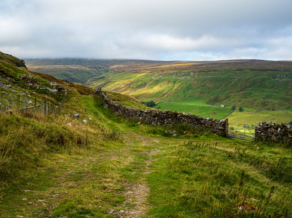 Walden. Credit: Ian Battersby