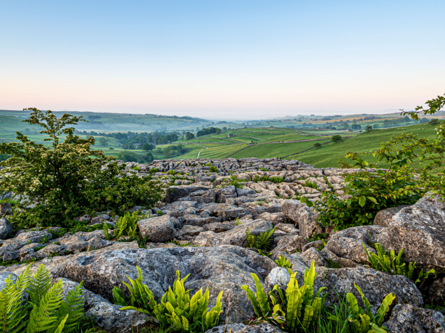 Malham Cove limestone pavement. Credit: Ian Battersby