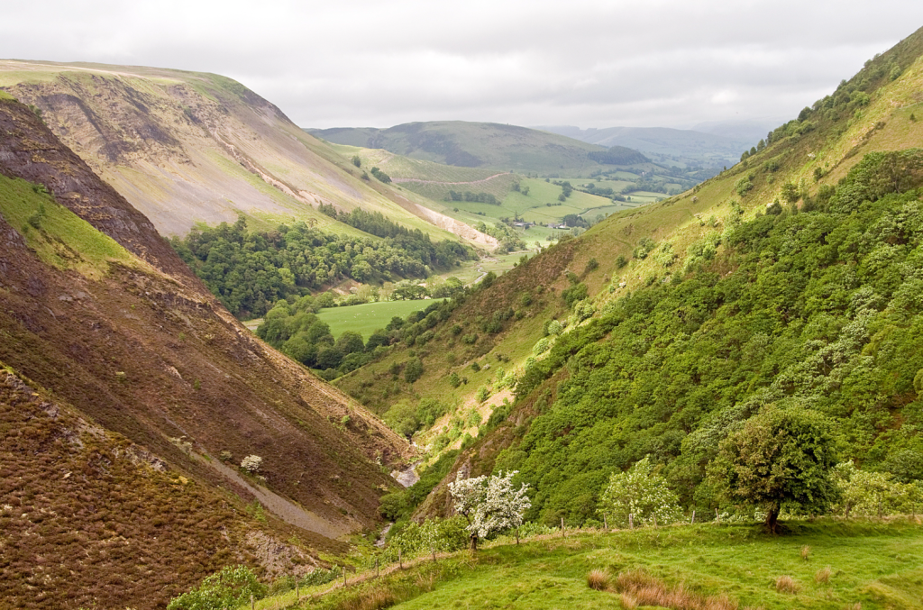 The eastern slopes of Creigiau Pennant rise steeply above Afon Twymyn with the gorge in the foreground. Credit: Roger Butler