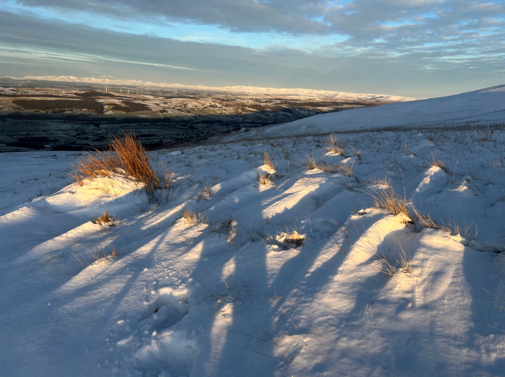 Views into Lakeland. Credit: Francesca Donovan