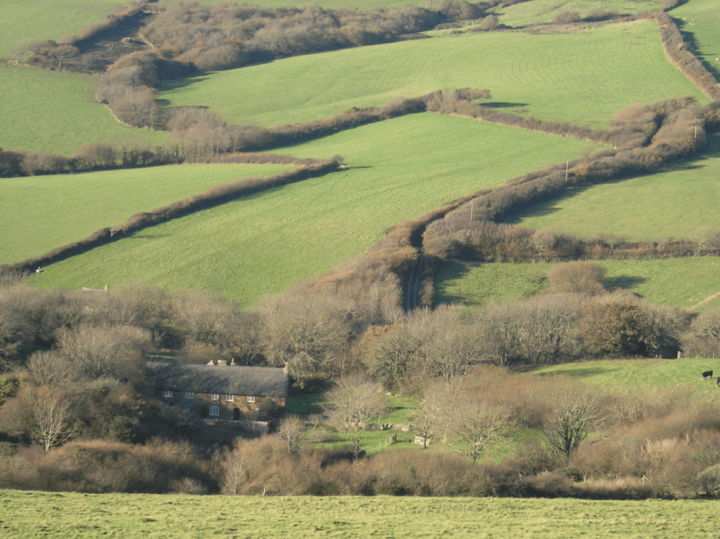 NT Golden Cap Estate - patchwork pattern of fields & St Gabriel's