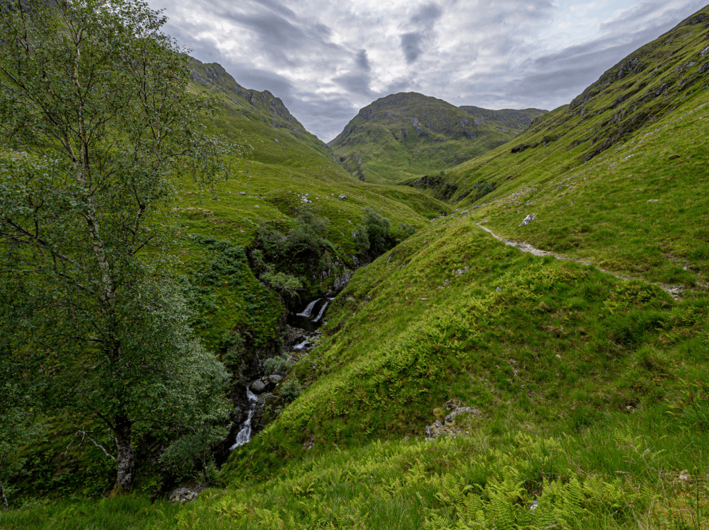11 - Meall a’ Bhealaich from Gleann Chòinneachain -  BeinnFhada-7240282