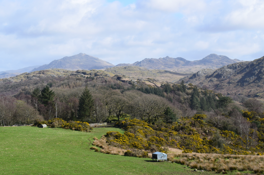 Views of Harter Fell and Green Crag from the initial ascent of Muncaster Fell (2).JPG