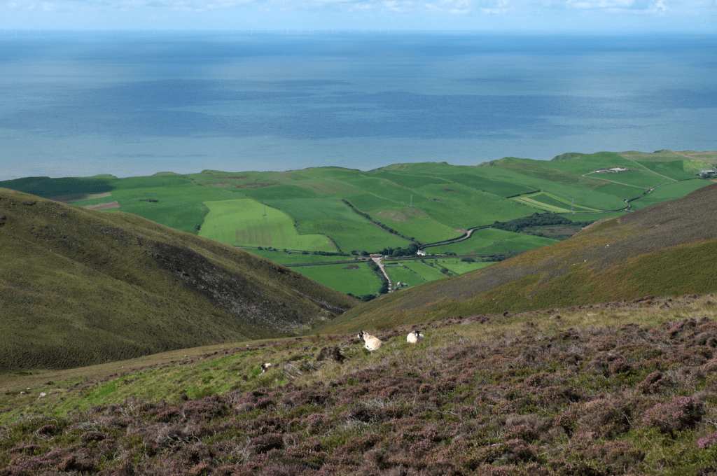 Looking down on the coast on the way up Black Combe_DSCF9632