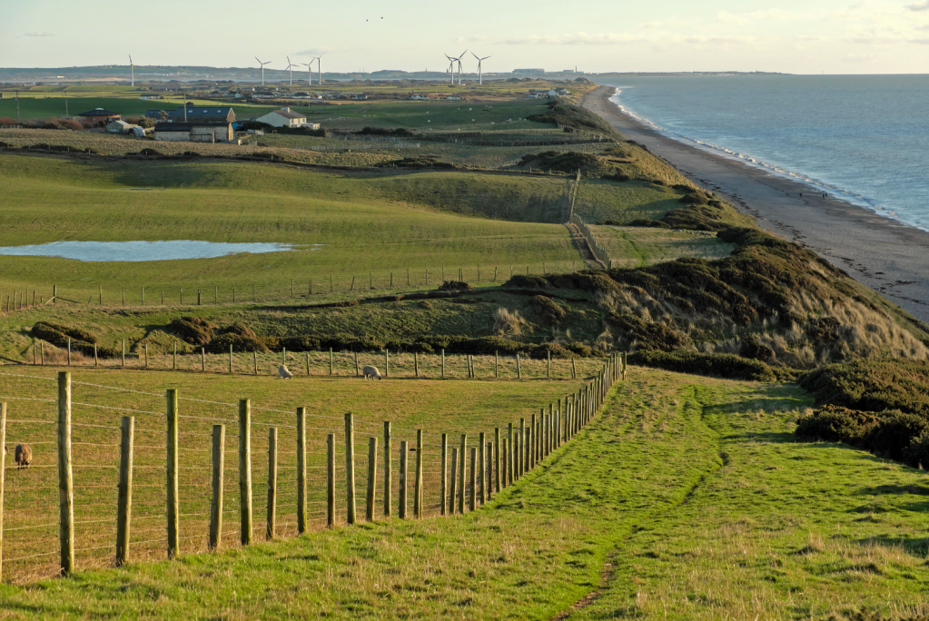 Nearing waypoint 7 on the coastal section of the walk. Credit: Vivienne Crow