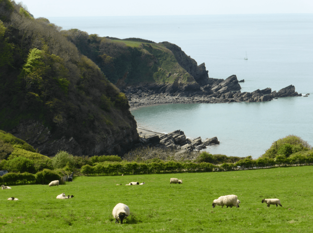 Lee Bay from nr Lee Abbey