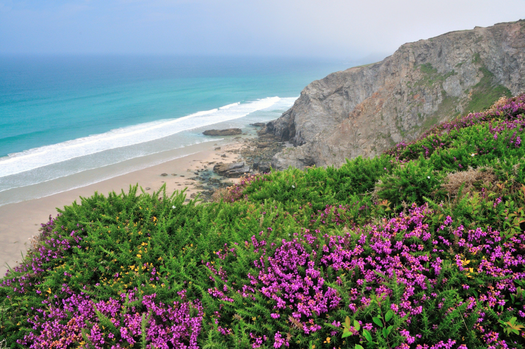 Photo 1: Cliff top view onto the beach between Porth Towan and Chapel Porth .JPG