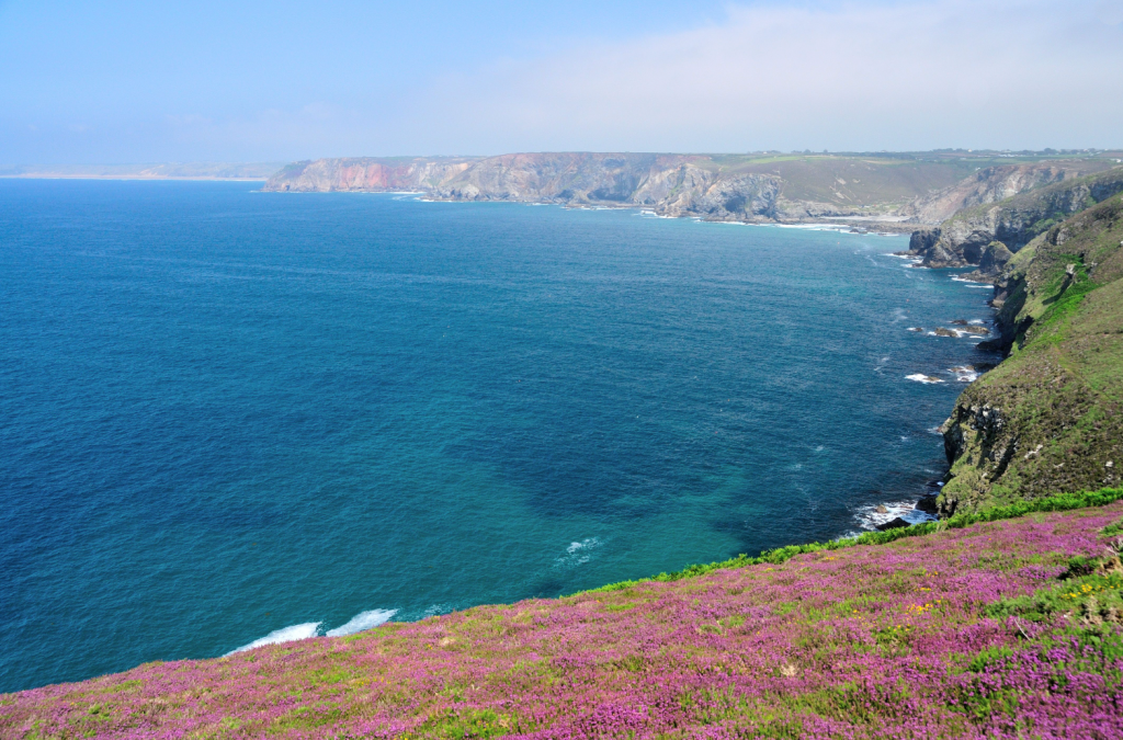 Photo 8: View looking east from Newdowns Head to the cliffs near Cligga Head 