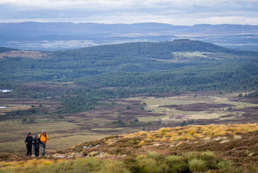 Abernethy in the distance. Credit: David Lintern