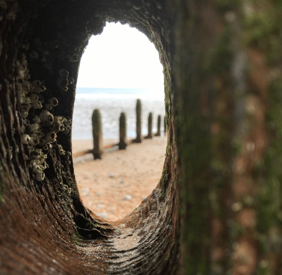 chronic illness - Moving Mountains celebrates different perspective on nature - here the beach can been seen through wooden groynes at Winchelsea, East Sussex