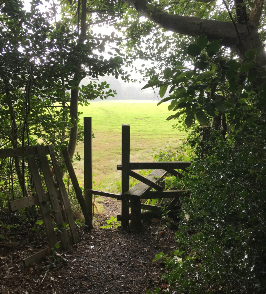 chronic illness - Could putting disability at the heart of the access conversation help everybody?