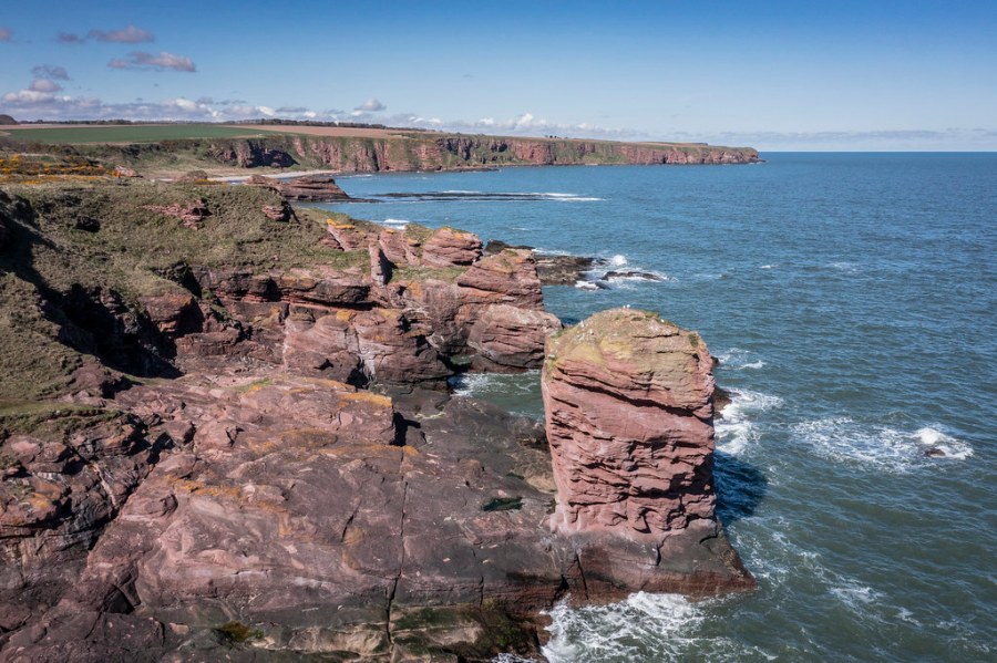 Seaton Cliffs, Arbroath. Credit: Visit Angus