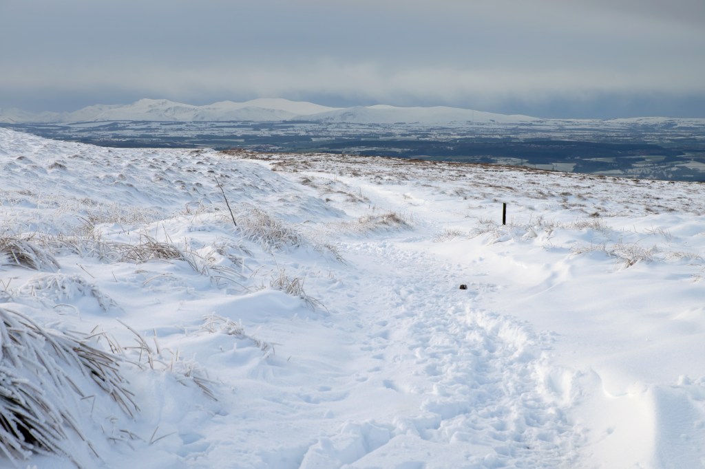 Track junction at waypoint six. Credit: Vivienne Crow